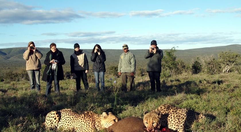 Kuzuko Lodge Addo Exterior photo
