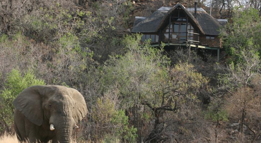 Kuzuko Lodge Addo Exterior photo