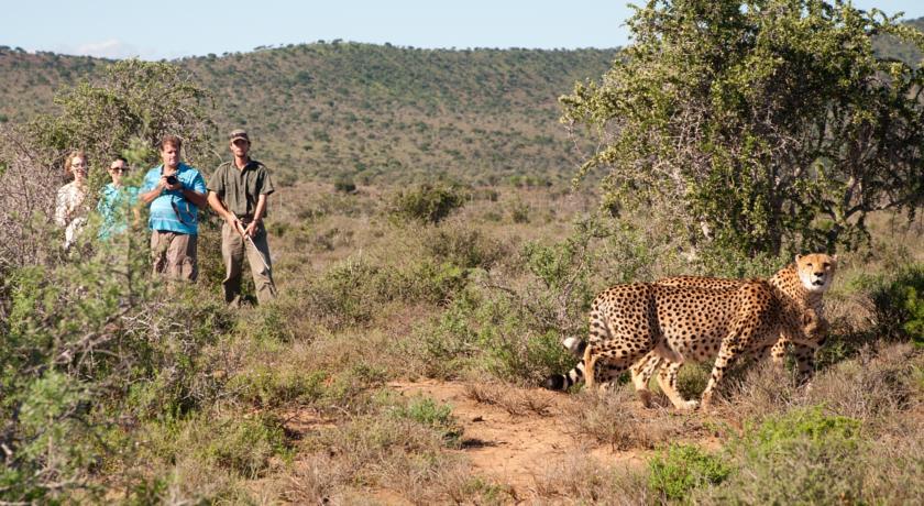 Kuzuko Lodge Addo Exterior photo