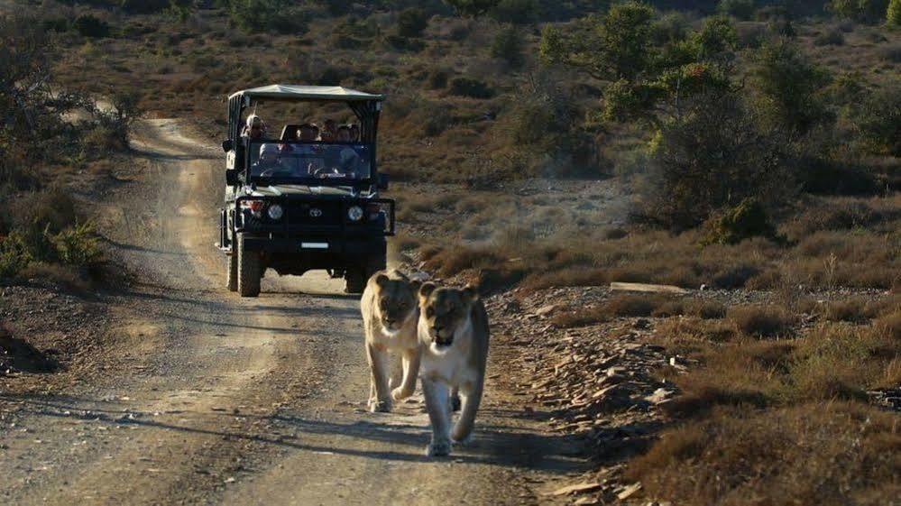 Kuzuko Lodge Addo Exterior photo